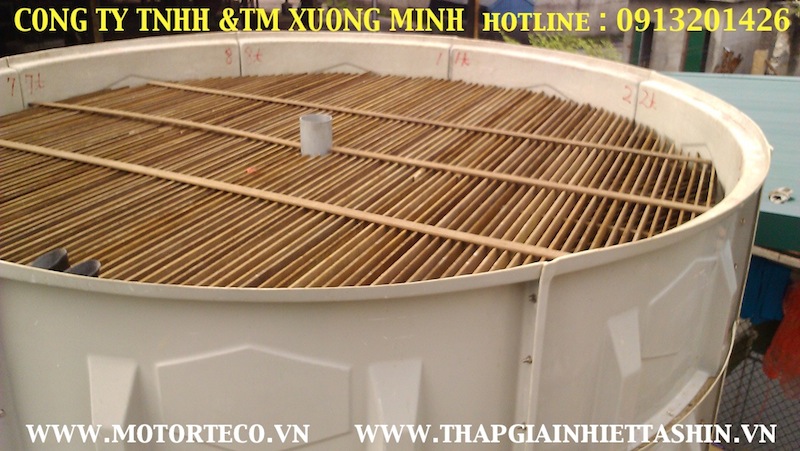 Tam-giai-nhiet-go-tashin